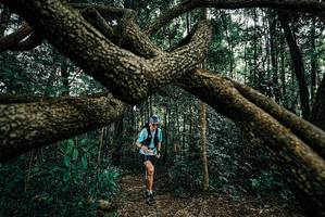 BIB: 
                            <button type="button" onclick="openModal(25664142)" class="btn btn-primary btn-sm float-right btn-popup" data-toggle="modal" data-target=".modal-high-quality">
                        <i class="fas fa-shopping-cart"></i> Add to Cart
                    </button>
                                            <button type="button" onclick="isThisMe(25664142, true)" class="btn btn-success btn-sm float-right btn-popup btn-isme hidden" data-toggle="tooltip" data-placement="bottom" title="นี่คือรูปของคุณใช่ไหม คลิกที่นี่เพื่อเอาเข้าอัลบั้ม">
                        <i class="fas fa-plus"></i> Add to album
                    </button>
                    <button type="button" onclick="isThisMe(25664142, false)" class="btn btn-warning btn-sm float-right btn-popup btn-isnotme hidden">
                        <i class="fas fa-ban"></i> Remove from album
                    </button>